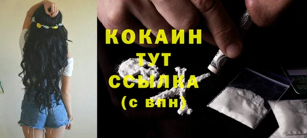 синтетический гашиш Заводоуковск