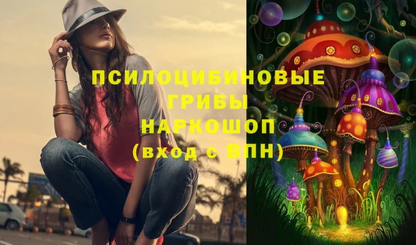 шишки Фурманов