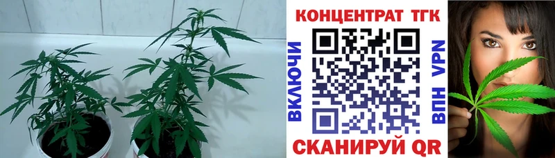 Дистиллят ТГК вейп с тгк  Купить  Нытва 
