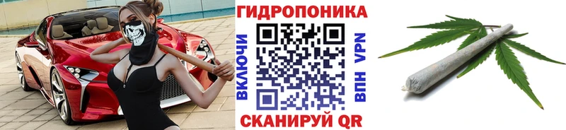 Купить  Нытва  Бошки Шишки индика 